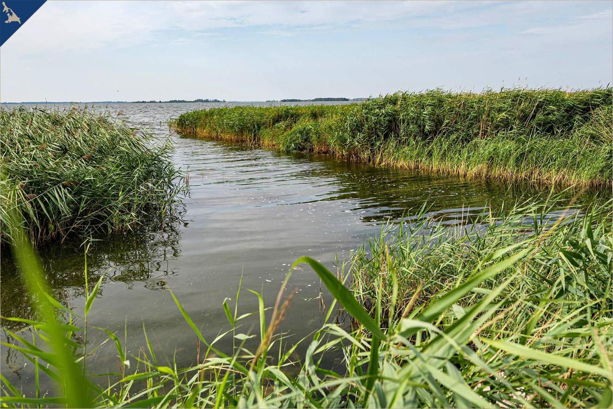 Nur 100M Zum Strand Fewo Seebrise 109 By Pro Home Appartements Zempin Zewnętrze zdjęcie